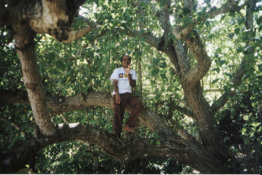 B. A. Perera Kräutersuche